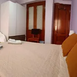 Alquilar 4 dormitorio apartamento en Oviedo