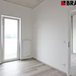 Rent 2 bedroom apartment of 37 m² in Brno