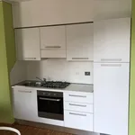 Rent 1 bedroom apartment of 45 m² in Torino