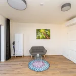 Rent 1 bedroom apartment in Berlin