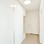 Rent 2 bedroom apartment in Praha 3