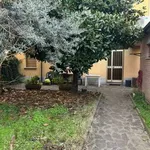 Rent 4 bedroom house of 104 m² in Bologna