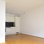 Rent 2 bedroom apartment of 50 m² in Graz