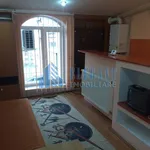 Rent 1 bedroom apartment in Lovnic