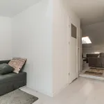 Rent 3 bedroom apartment of 47 m² in Szczecin