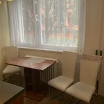 Rent 2 bedroom apartment in Brno