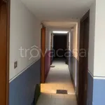 Rent 1 bedroom apartment of 35 m² in Torino