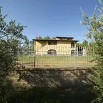 Rent 4 bedroom apartment of 90 m² in Montopoli in Val d'Arno