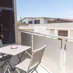 Rent 1 bedroom apartment in rome