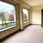 Rent 3 bedroom apartment of 60 m² in Moncalieri