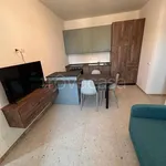 Rent 1 bedroom apartment of 64 m² in Modena