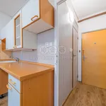 Rent 1 bedroom apartment of 36 m² in Aš