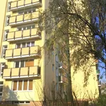 Rent 2 bedroom house of 50 m² in Warszawa