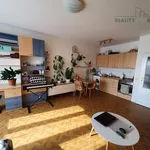 Rent 1 bedroom apartment of 36 m² in Brno