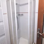 Rent 1 bedroom apartment in Hradec Králové