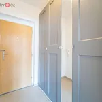 Rent 1 bedroom apartment of 26 m² in Praha