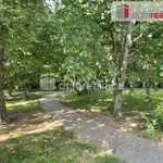 Rent 4 bedroom apartment of 100 m² in Prague