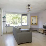 Rent 2 bedroom house of 65 m² in Breda