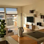 Rent 2 bedroom apartment of 90 m² in Prague