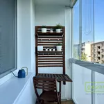 Rent 2 bedroom apartment in Šternberk