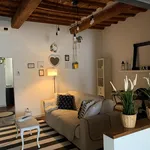 Rent 1 bedroom apartment in Florence