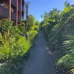 Rent 1 bedroom apartment in Maungakiekie-Tāmaki