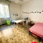 Rent 3 bedroom apartment of 75 m² in Bologna