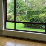 Rent 2 bedroom apartment of 50 m² in rotterdam