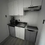  appartement avec 1 chambre(s) en location à Montreal