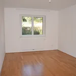 Rent 4 bedroom apartment of 90 m² in Hörndlwald