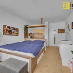 Rent 1 bedroom apartment in Prague