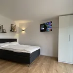 Rent 1 bedroom apartment of 32 m² in Dresden