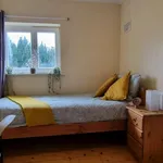 Rent a room in dublin