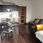 Rent 1 bedroom apartment of 33 m² in Prague