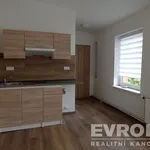 Rent 1 bedroom apartment of 18 m² in Liberec