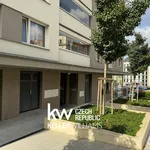 Pronajměte si 3 ložnic/e byt o rozloze 72 m² v Prague