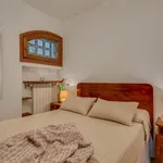 Rent 1 bedroom apartment of 40 m² in Florence