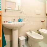 Rent 1 bedroom apartment of 30 m² in Bologna