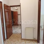 Rent 3 bedroom apartment of 100 m² in Frosinone