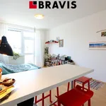 Rent 1 bedroom apartment of 29 m² in Brno