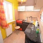 Rent 1 bedroom apartment of 33 m² in Timisoara