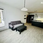 Rent 2 bedroom apartment of 58 m² in České Budějovice