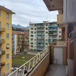 Rent 2 bedroom apartment of 50 m² in Biella