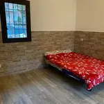 Rent 1 bedroom apartment in Bologna