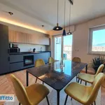 Rent 3 bedroom apartment of 90 m² in Turin