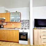 Rent 1 bedroom apartment of 27 m² in olomouc