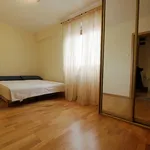 Rent 1 bedroom apartment of 45 m² in Wrocław