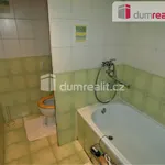 Rent 1 bedroom apartment in Sokolov