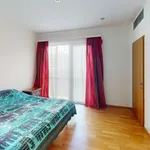 Rent 3 bedroom apartment in Praha 2