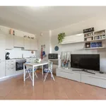 Rent 2 bedroom apartment of 68 m² in Milano